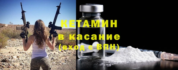 шишки Чердынь