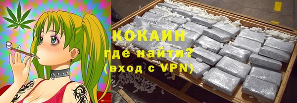 шишки Чердынь